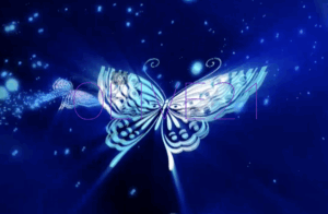 東京都新宿のカップル喫茶 OLIVE21どんなお店？評判 口コミ 体験談