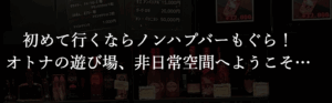 東京錦糸町のノンハプバー もぐら 錦糸町店 どんなお店？評判 口コミ 体験談