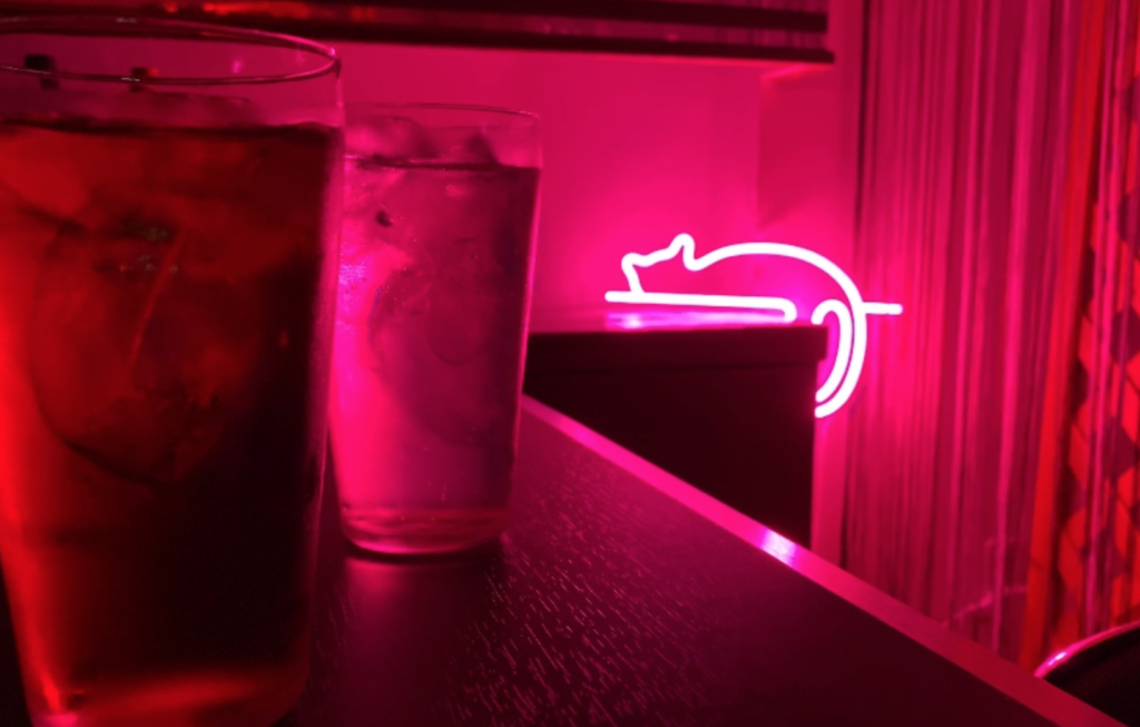 沖縄ハプバートラップネスト店内